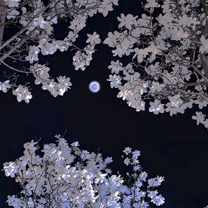 别柔我奶头嗯哦视频
