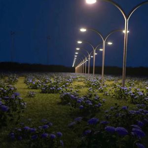 别柔我奶头嗯哦视频
